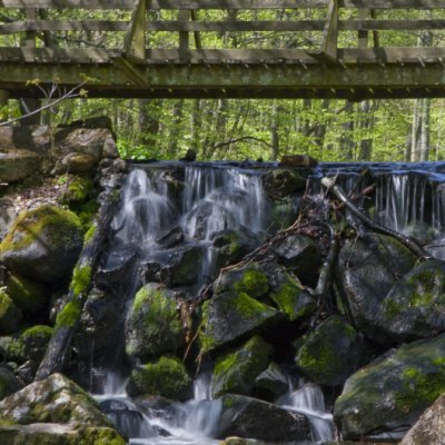 Ravine of the Forsakar creek