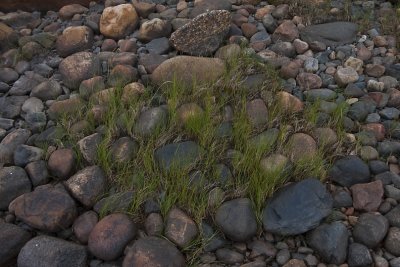 Stones & Pebbles