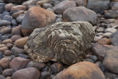 Face of a petrified giant