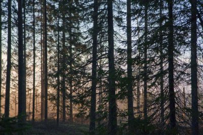 Effects of a low sun