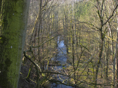 Tjute creek