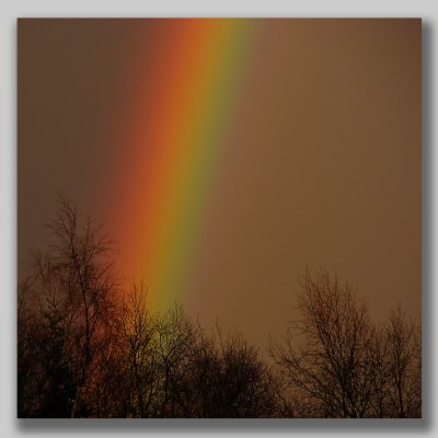 A late evening rainbow III