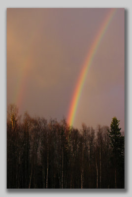 A late evening rainbow II