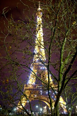 DSC_5463A.jpg