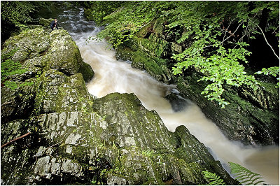 Tollymore Forest Park - River Shimna