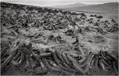Inishowen peat fields
