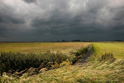 Raincloud - Regenwolk