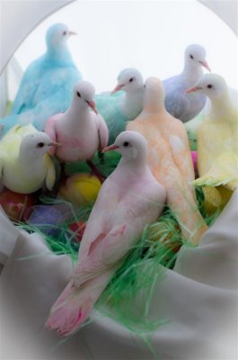 Easter Doves 51181 Large.jpg
