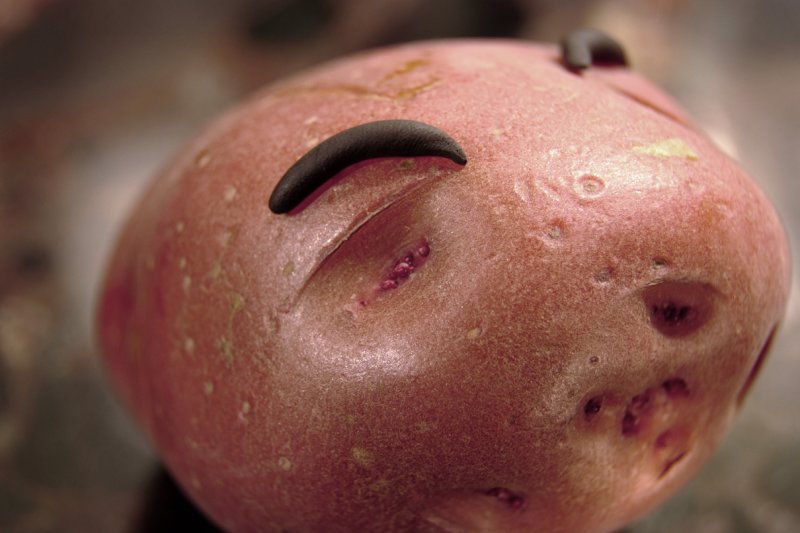 Potato Eyes