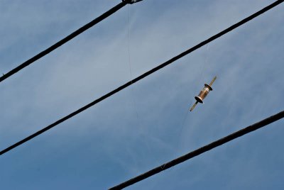 g4/00/779300/3/133194674.zOlDxWa4.jpg