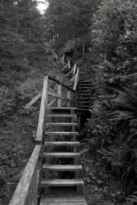 Stairs to Florencia Bay