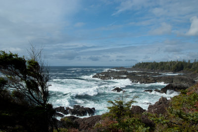 Wild Pacific Trail