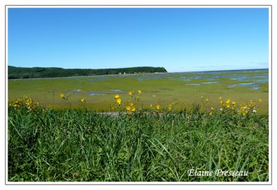 Baie des Capucins