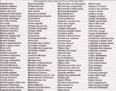 Liste des observations d'oiseaux au Costa Rica du 9 au 23 fvrier 2011