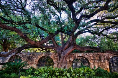 The Alamo - San Antonio, Texas