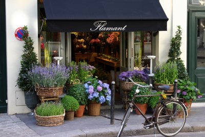 Flamont  - 6th arrondissement