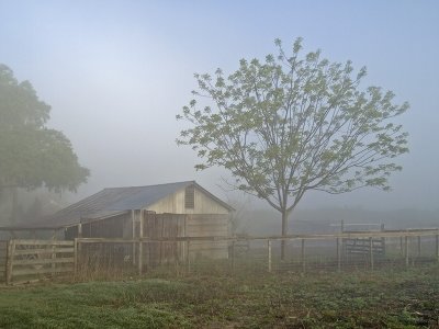 An Old Shed