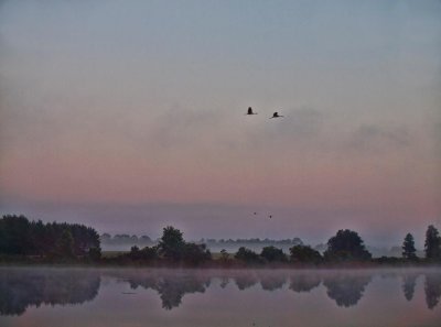 Early Morning Flight