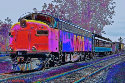 _DSC6359 Z.jpg