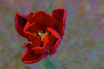 _DSC5723 Z.jpg