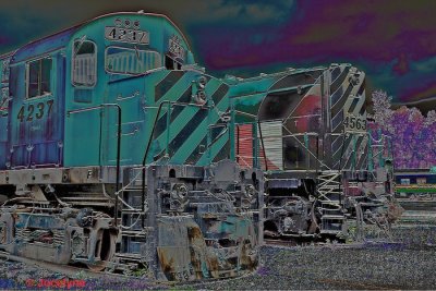 _DSC6403  Z.jpg