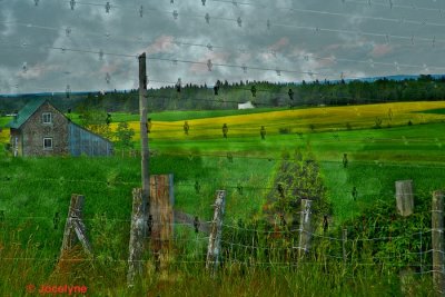 DSC08003 XX 1.jpg