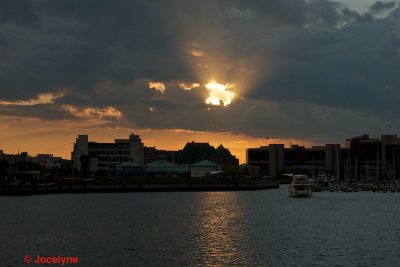 DSC09696.jpg