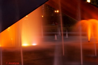 DSC09769.jpg