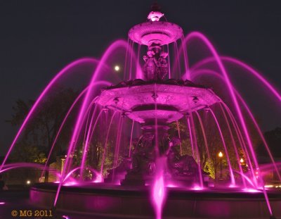 _N7A0920.jpg