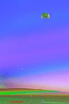 DSC02542 ZZ.jpg