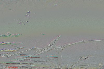 DSC01146 Dd.jpg