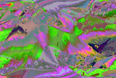 _DSC7524 DD.jpg