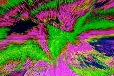 _DSC7524CC.jpg