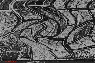 DSC07690 Cc.jpg