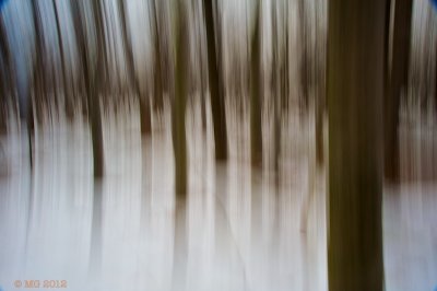_N7A3364.jpg