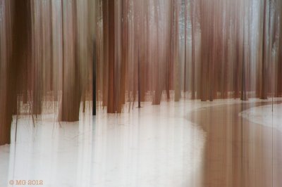 _N7A3368.jpg