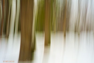 _N7A3389.jpg
