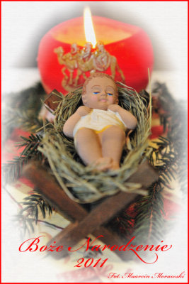 Christmas 2011.jpg
