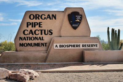Organ Pipe Cactus Ntl. Monument