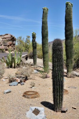 Phoenix, South Mountain Park