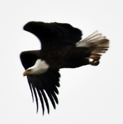 g4/00/977200/3/141313691.blNzoxC2.jpg