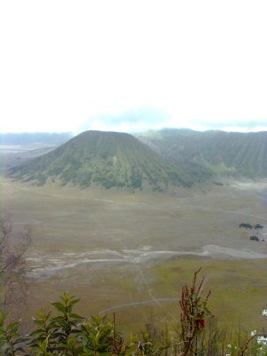 bromo bromo.jpg