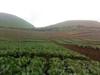 batu malang 24 juni 2010 hohohoh.jpg