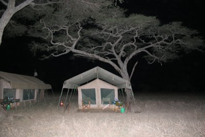 Ndutu tented camp