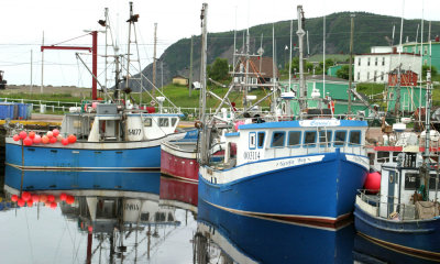 Newfoundland Scenics