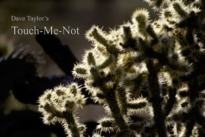 Touch Me Not (e-book)