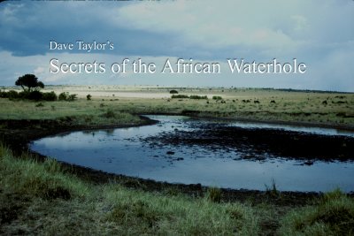 Secrets of the AfricanWaterhole (e-book)