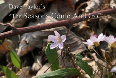 The Seasons Come and Go (e-book)