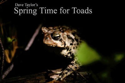 Spring Time for Toads (e-book)