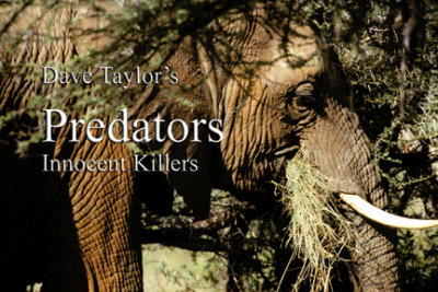 Predators, Innocent Killers (e-book)
